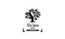 15.png 32DB878E-9585-8BA2-1B0A-6C8B076FA5A6.png